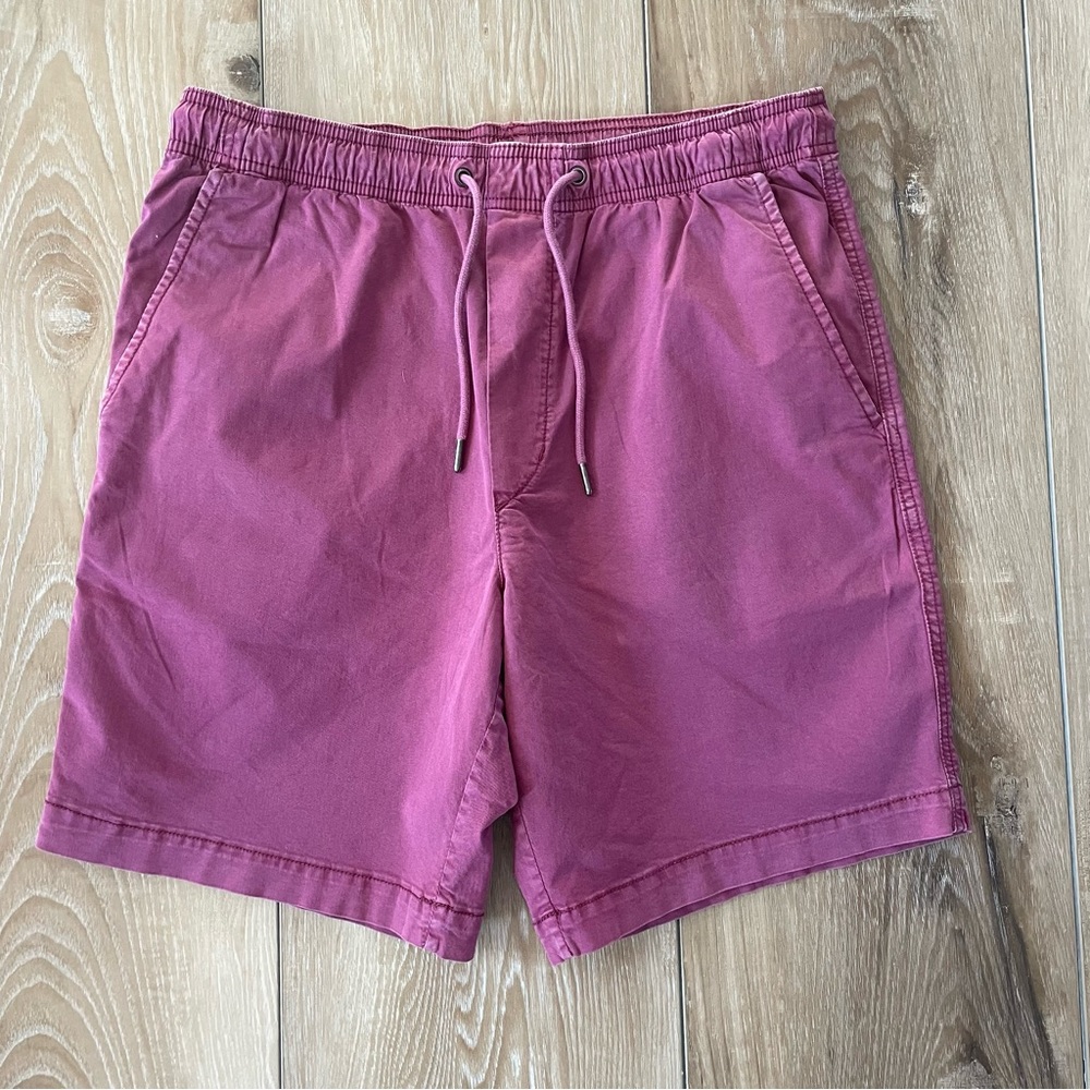 American Eagle Outfitters Lived-in Shorts